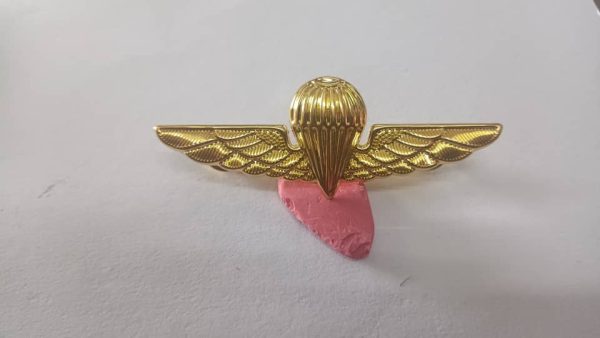 METAL BADGES WINGS